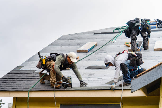 Professional Emergency Roof Repair technician working in Washingtonville, PA